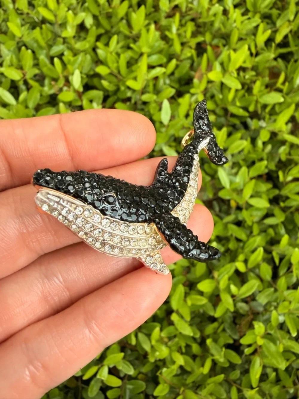 Sparkle Dolphin Fish Brooch Pin